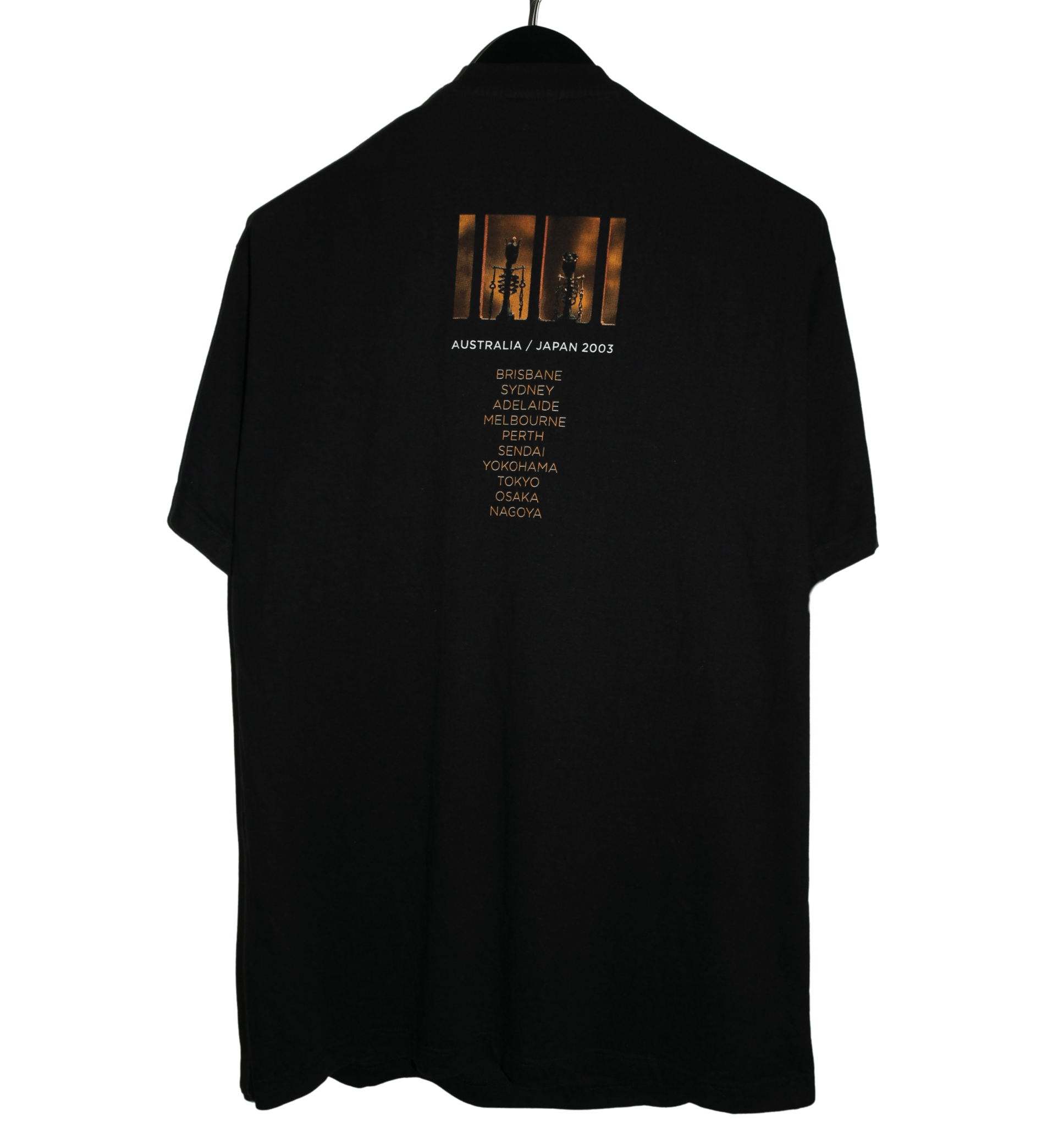 Pearl Jam 2003 Riot Act Tour Shirt - Faded AU