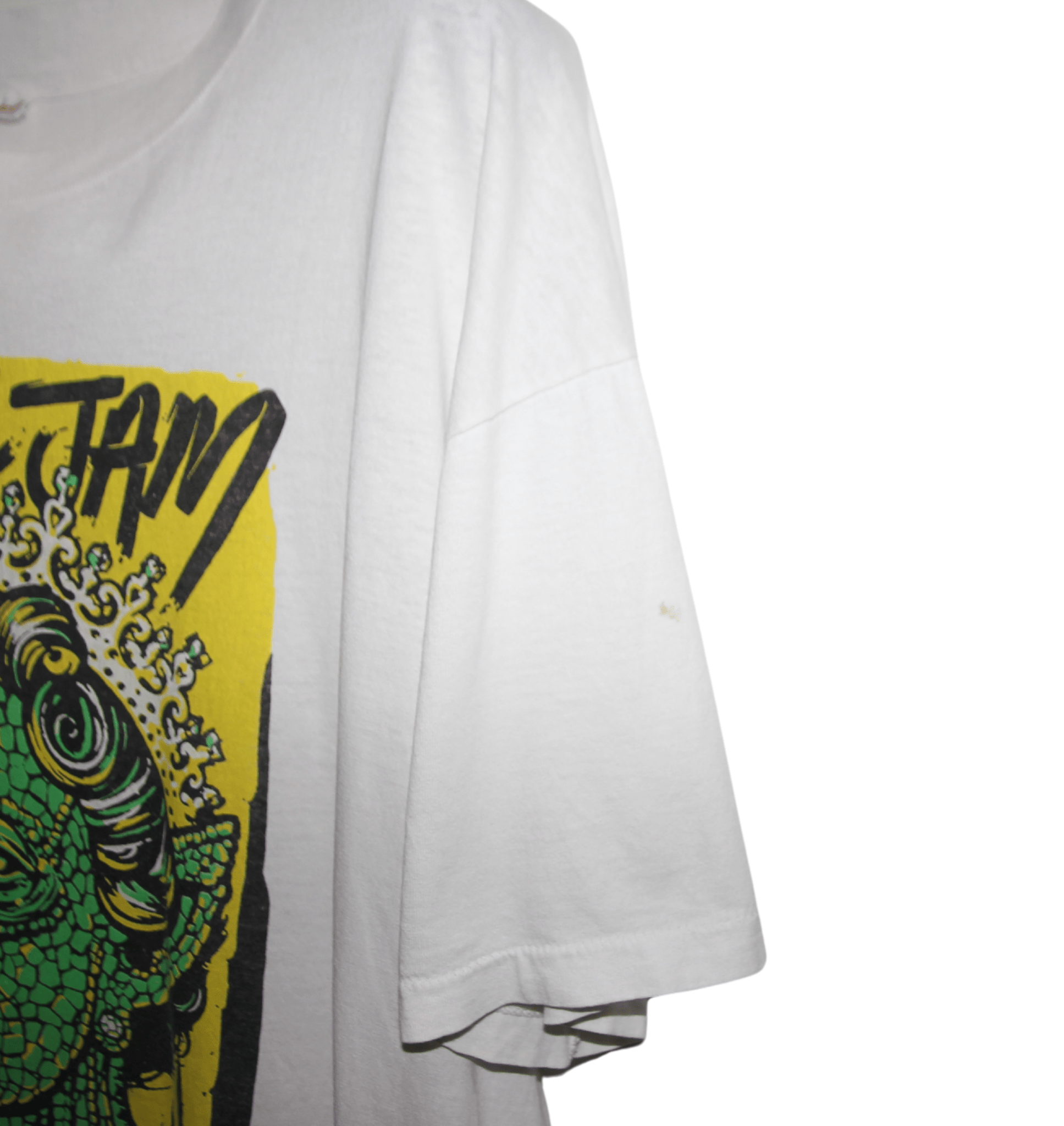 Pearl Jam 00's Queen Lizard Ames Bros Poster Shirt - Faded AU