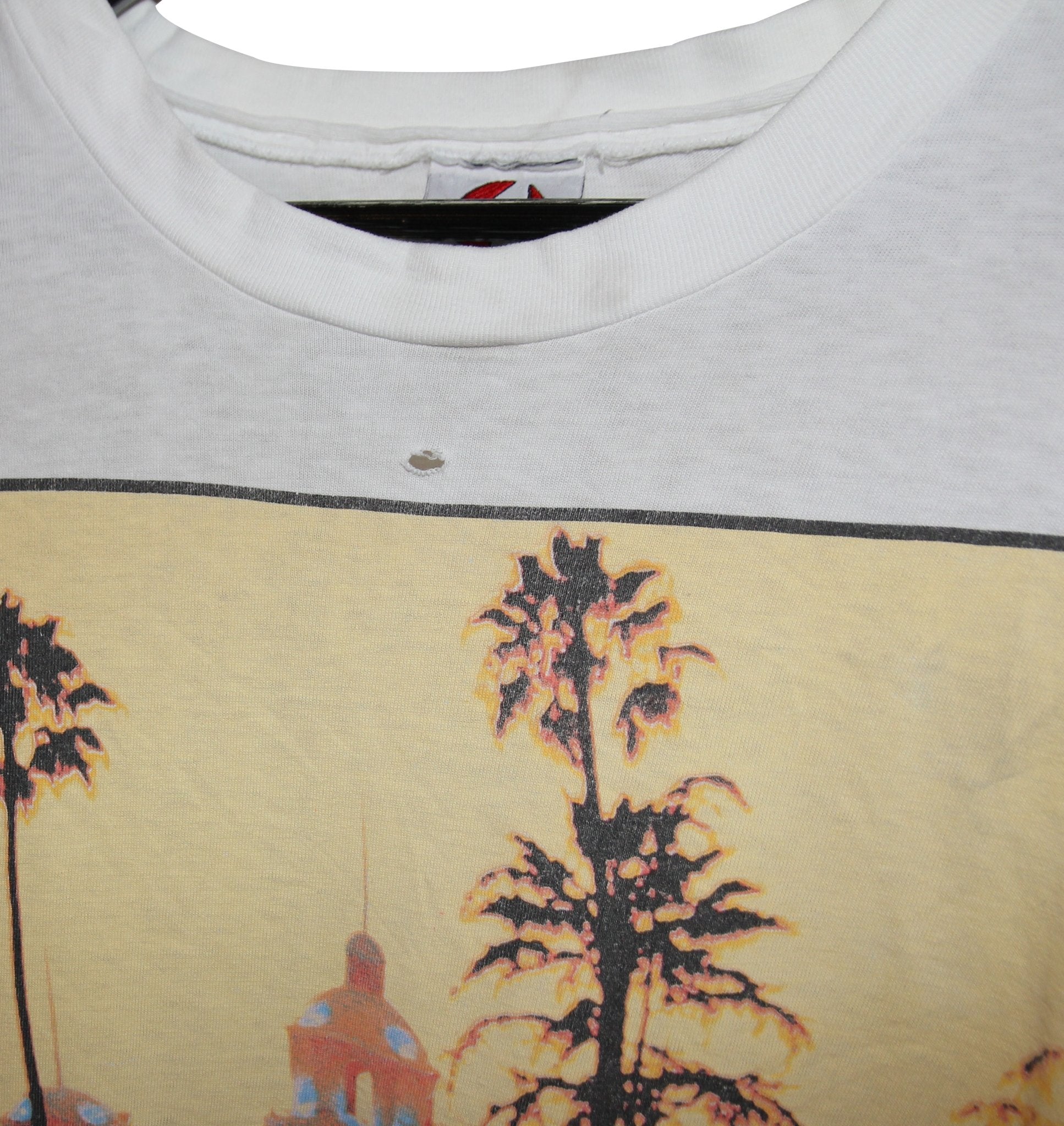 Eagles 1995 Hell Freezes Over Album Shirt - Faded AU