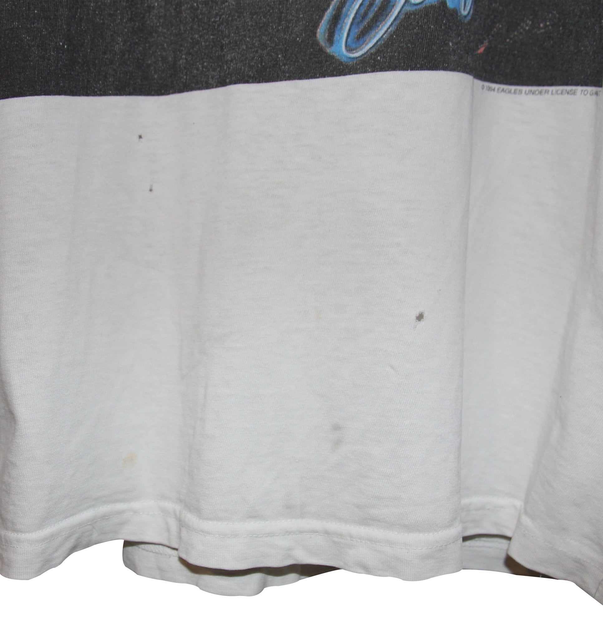 Eagles 1995 Hell Freezes Over Album Shirt - Faded AU