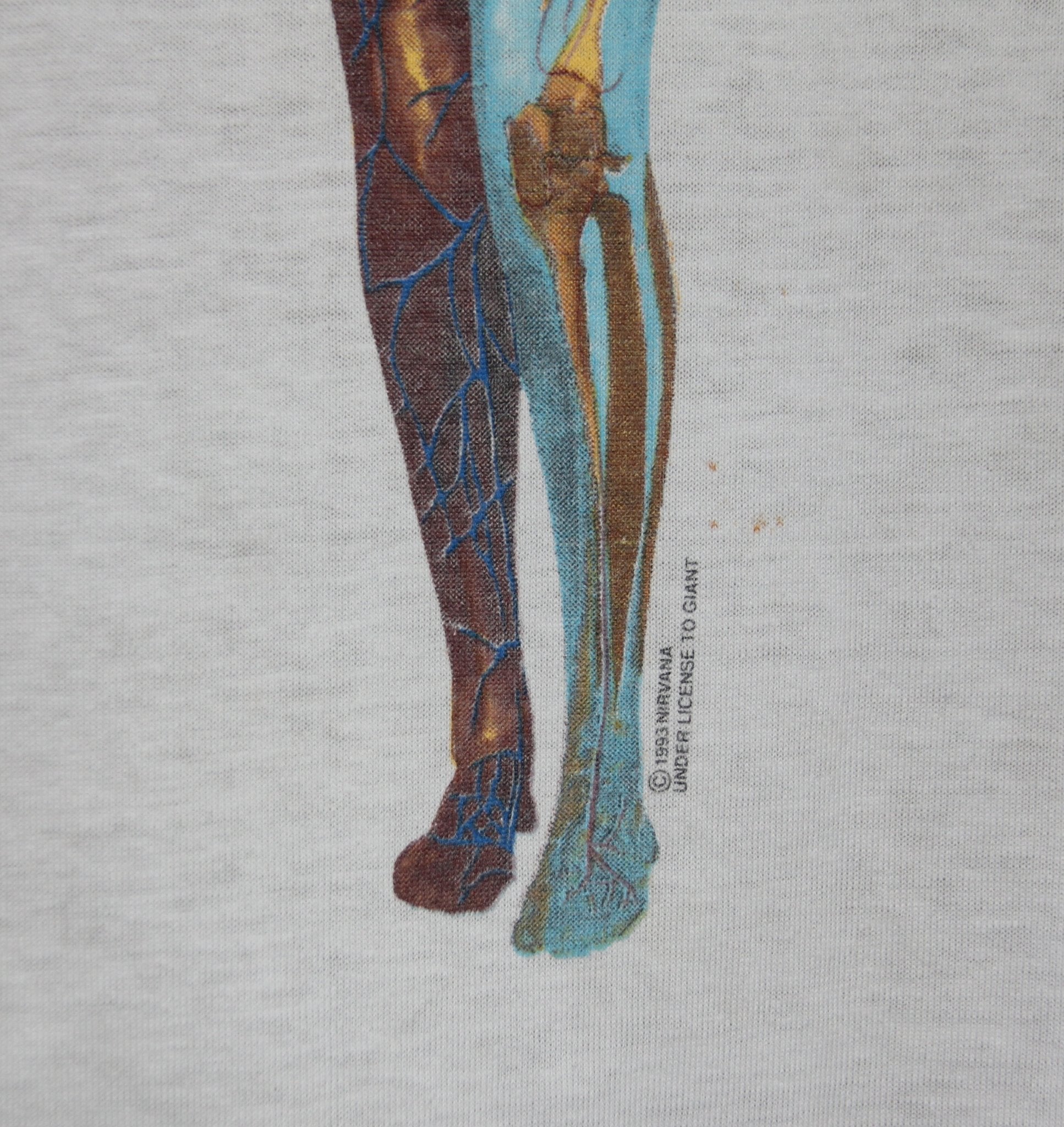 Nirvana 1993 In Utero Album Shirt - Faded AU