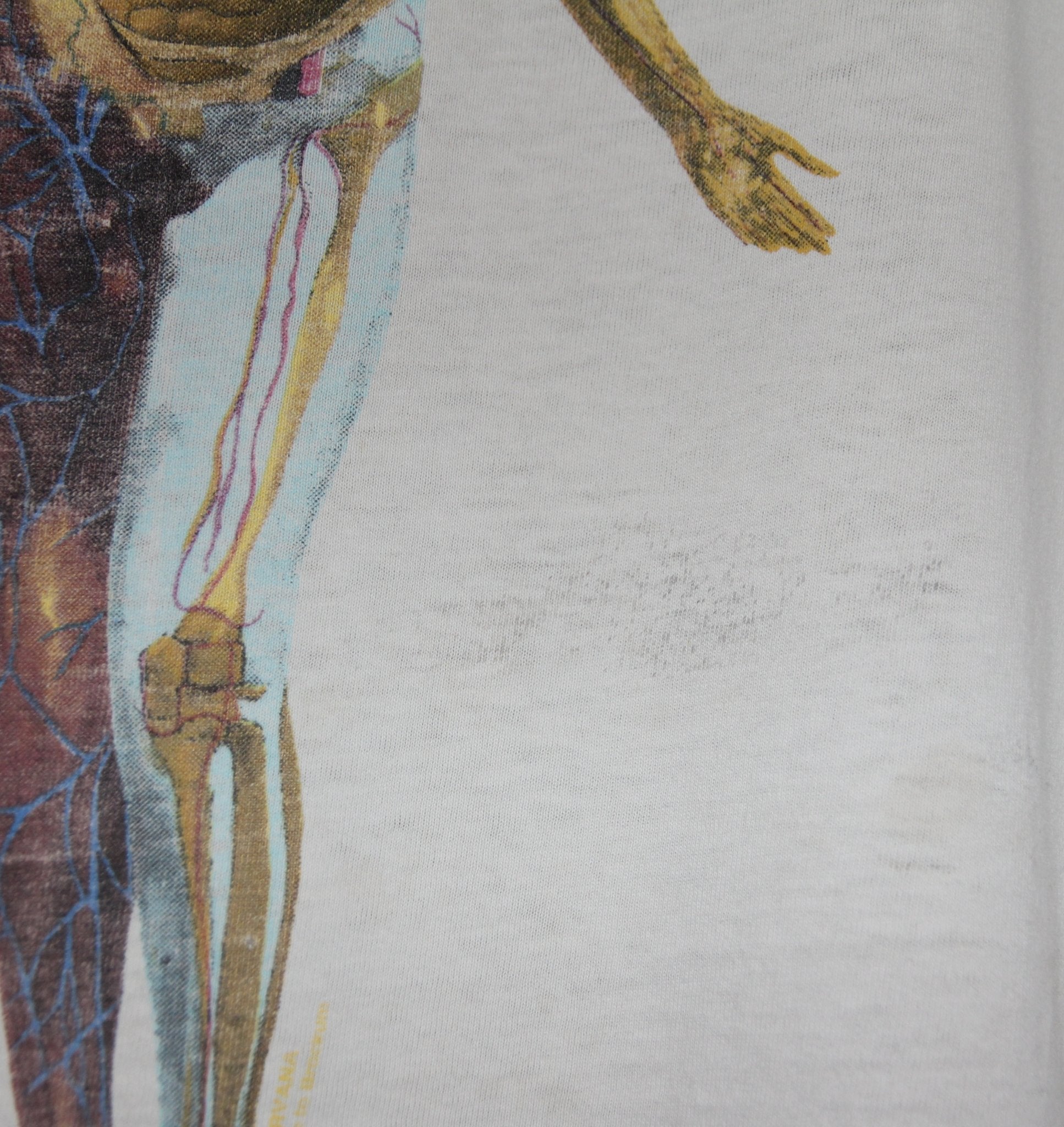 Nirvana 1993 In Utero Album Shirt - Faded AU