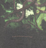 Nirvana 1993 Seahorse Shirt - Faded AU