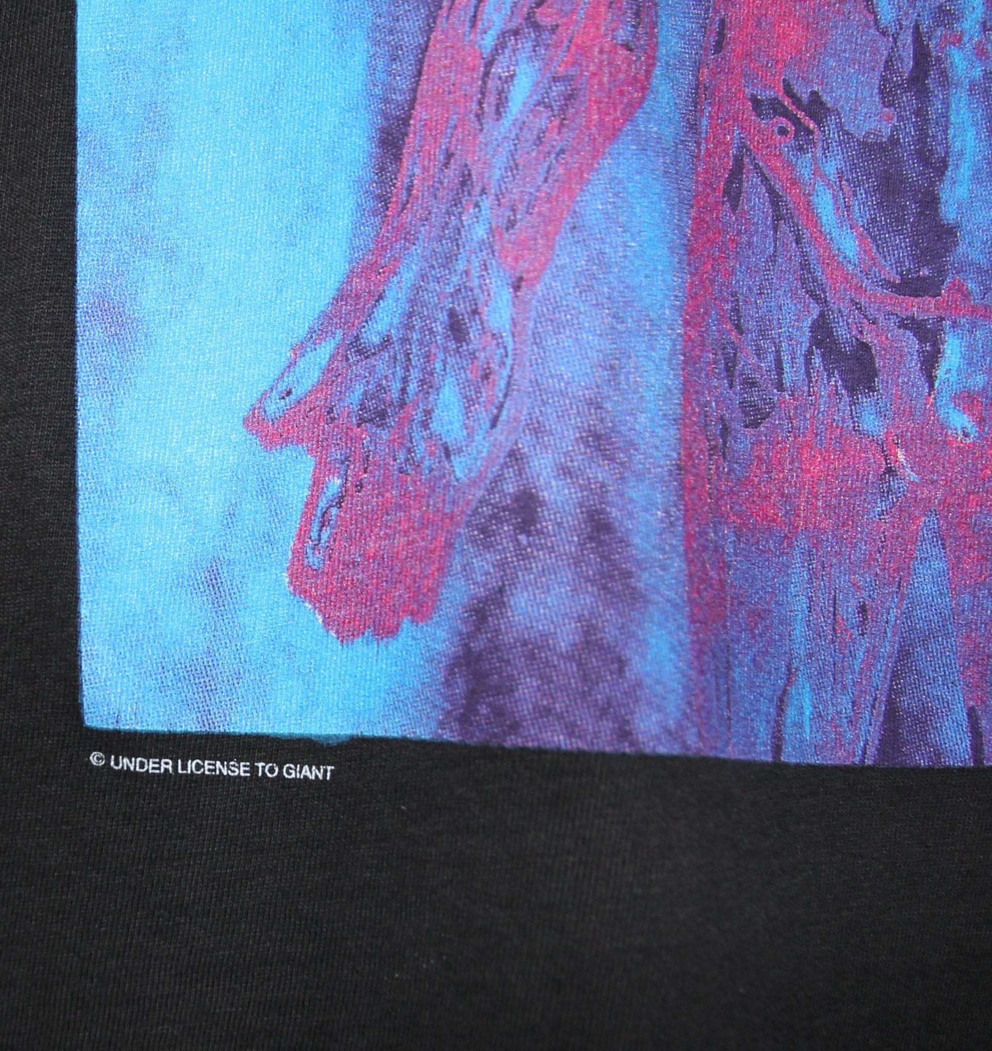Nirvana 1993 Sliver Shirt - Faded AU