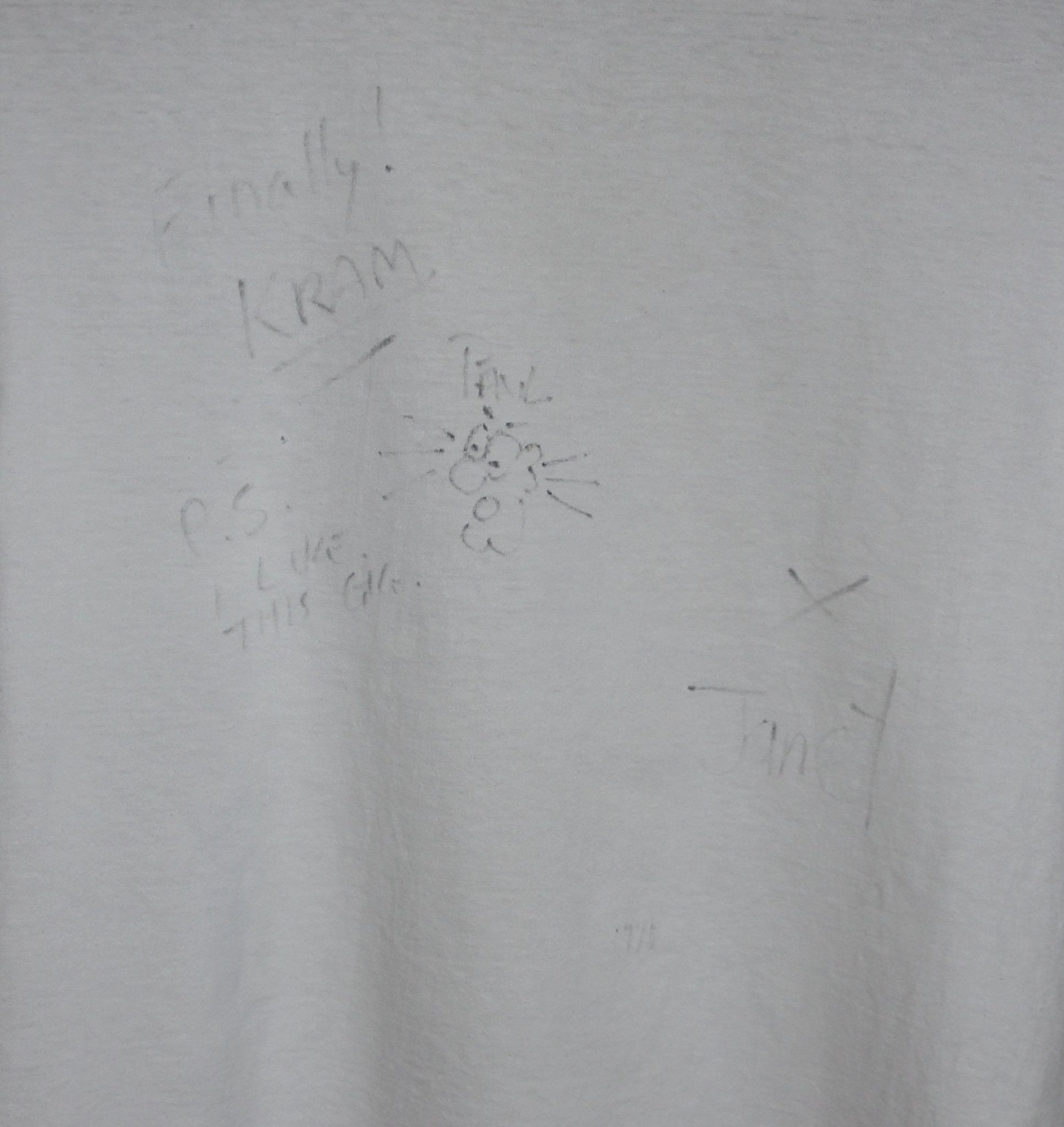 The Smashing Pumpkins 1993 Siamese Dream Album Shirt - Faded AU
